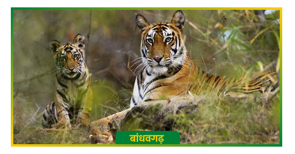 Bandhavgarh